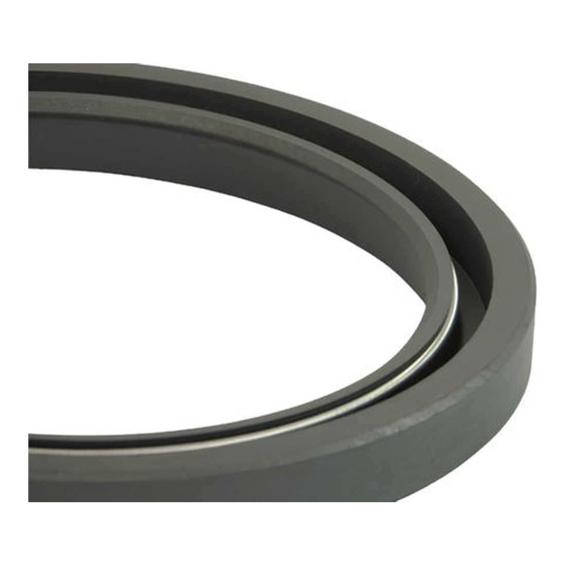 Anello di tenuta radiale (Lip Seal)