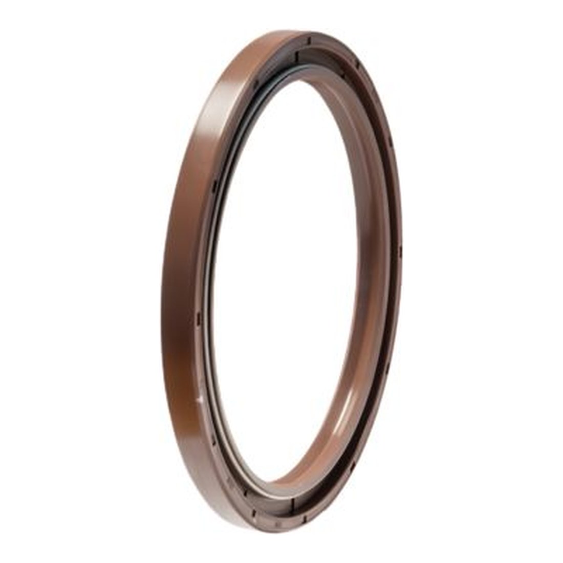 Anello di tenuta radiale (Lip Seal)